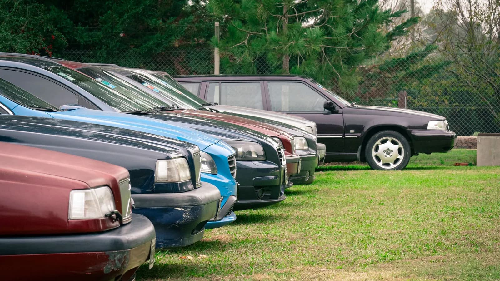 A row of used cars parked on grass in a dealer's lot.