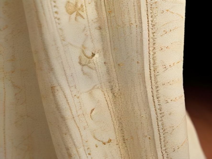 Balaramapuram kasavu set mundu — pure cotton, real kasavu